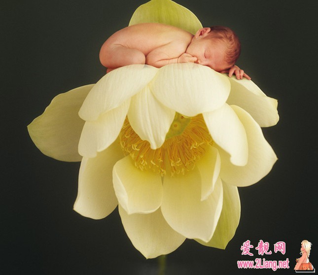 <em>2012年</em>最新<em>龙年女宝宝起名</em>技巧(第3页)_爱靓网